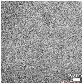Establishing Bio-Standards for High-Resolution Microscopy: Enhancing Calibration Accuracy