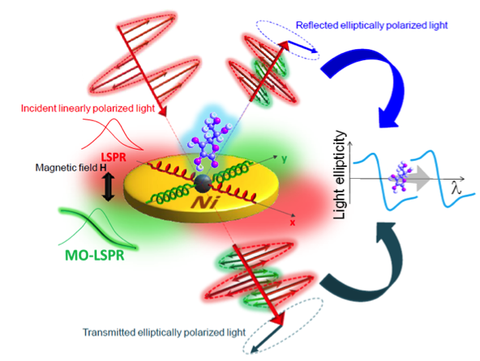 Ultrasensitive Magnetoplasmonic Sensors: Precision Control of Light Polarization