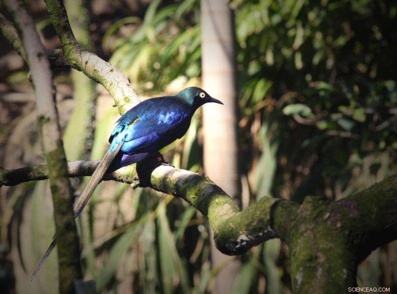 Nature‑Inspired Color Technology: Durable, Fade‑Proof Pigments