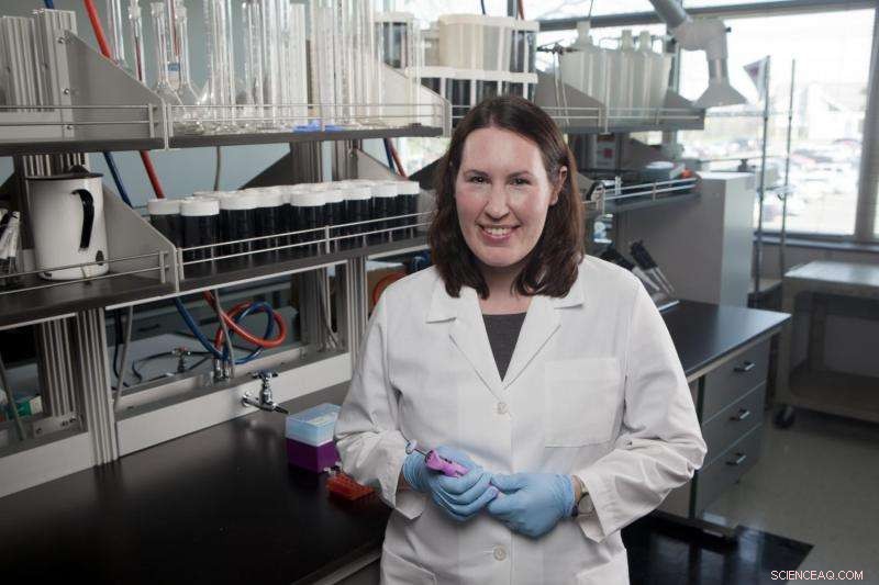 How Nanoparticles in Food Could Affect Human Health: Researchers Investigate Ingestion Risks