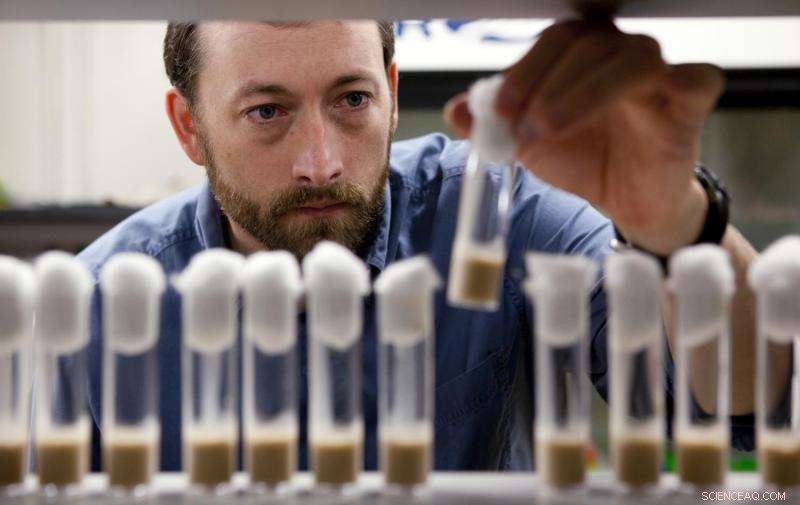 How Nanoparticles in Food Could Affect Human Health: Researchers Investigate Ingestion Risks