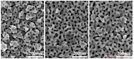 Precision‑Engineered Nanoporous Gold via Molecular Micelle Technology