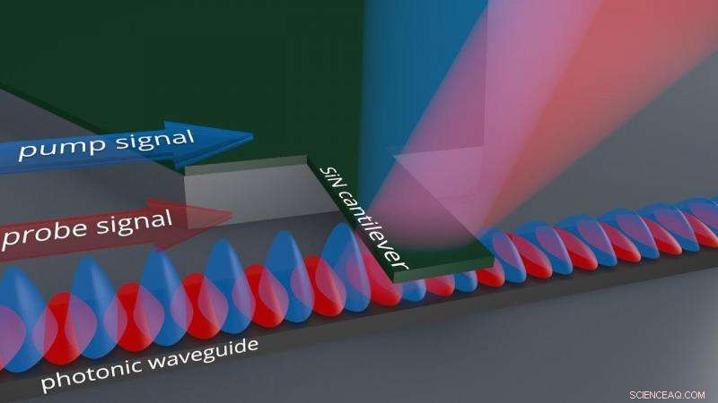 Scientists Create Ultra-Sensitive Nanomechanical Biosensor for Precise Detection