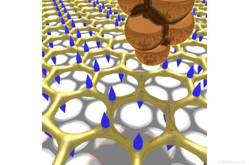 Precise Phonon Measurements Reveal Graphene Vibrations