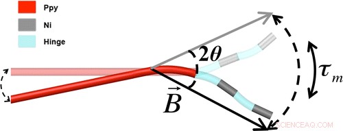 Innovative Nanorobots Navigate Bloodstream for Targeted Drug Delivery