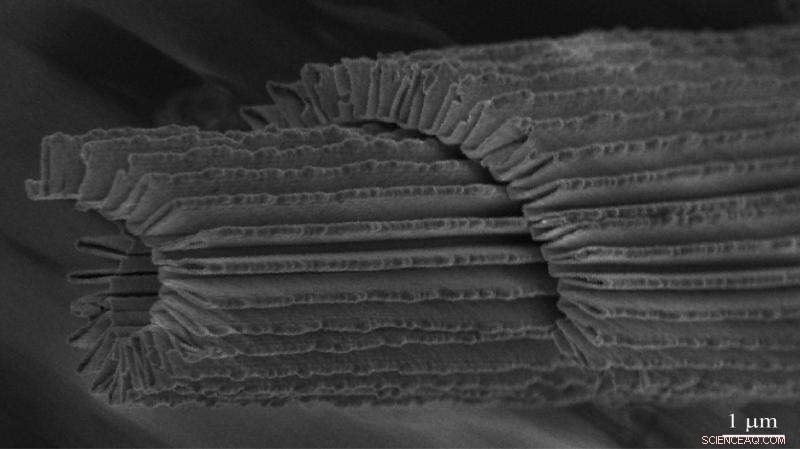 Innovative Nano-Accordion Conductors Deliver Transparent, Stretchable Electronics