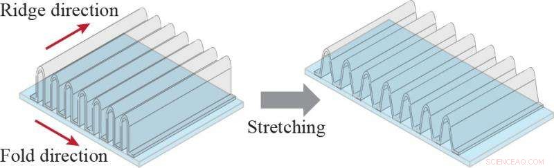 Innovative Nano-Accordion Conductors Deliver Transparent, Stretchable Electronics