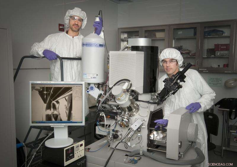 Using Advanced Nanoscience Imaging to Explore Ants’ Heat-Deflecting Adaptations