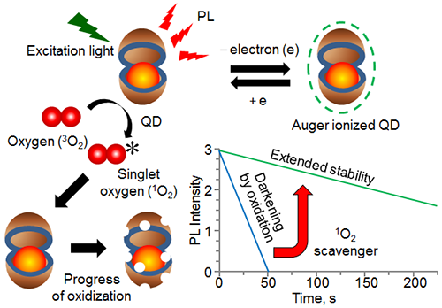 Korean Researchers Unveil Mechanism Behind Quantum Dot Photoluminescence Loss and Stabilization