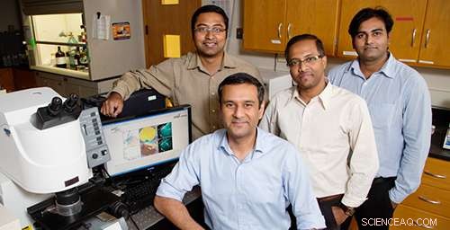 Revolutionary Home-Made Carbon Nanoparticles for Biomedical Breakthrough