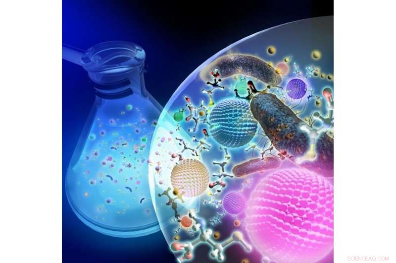 Bacterial Approach Enables Affordable, Eco‑Friendly Production of Water‑Soluble Quantum Dot Nanocrystals