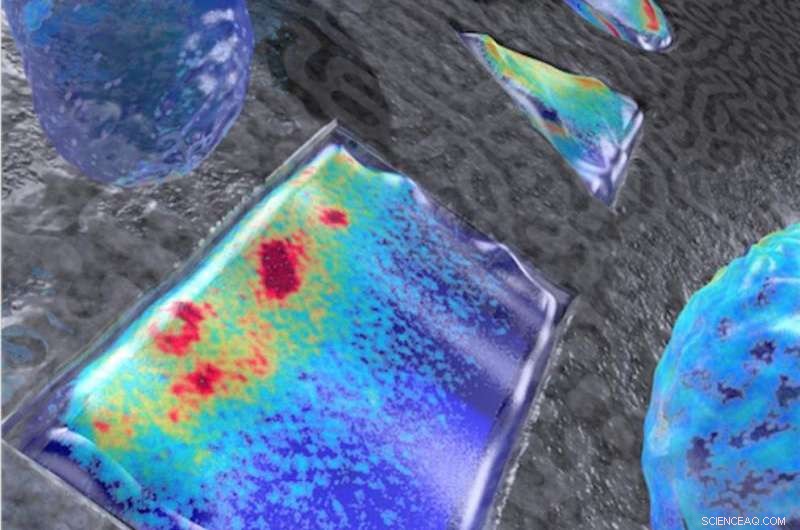 How Bacteria Use Turing’s Logic to Divide Precisely, Regardless of Shape