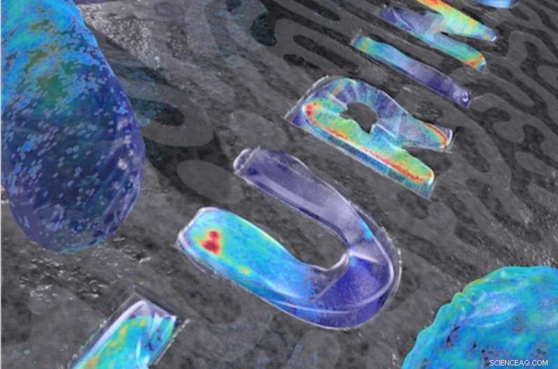 How Bacteria Use Turing’s Logic to Divide Precisely, Regardless of Shape