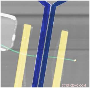 Scientists Observe Spin Precession in Silicon Nanowires, Advancing Spintronics