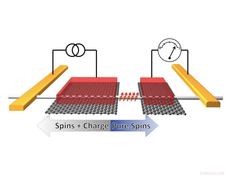 Scientists Observe Spin Precession in Silicon Nanowires, Advancing Spintronics