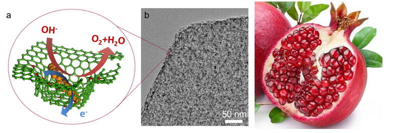 Pomegranate‑Inspired Graphene Nanocomposites: A Breakthrough for Efficient Water Splitting