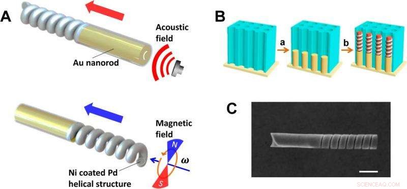 Fuel‑Free Nanomotor Operated by Ultrasound and Magnetic Fields
