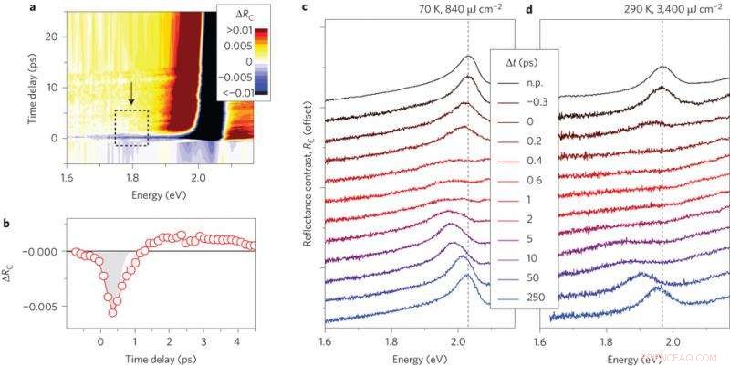 Scientists Achieve Rapid Optical Control of Atomically Thin WS2 Layers