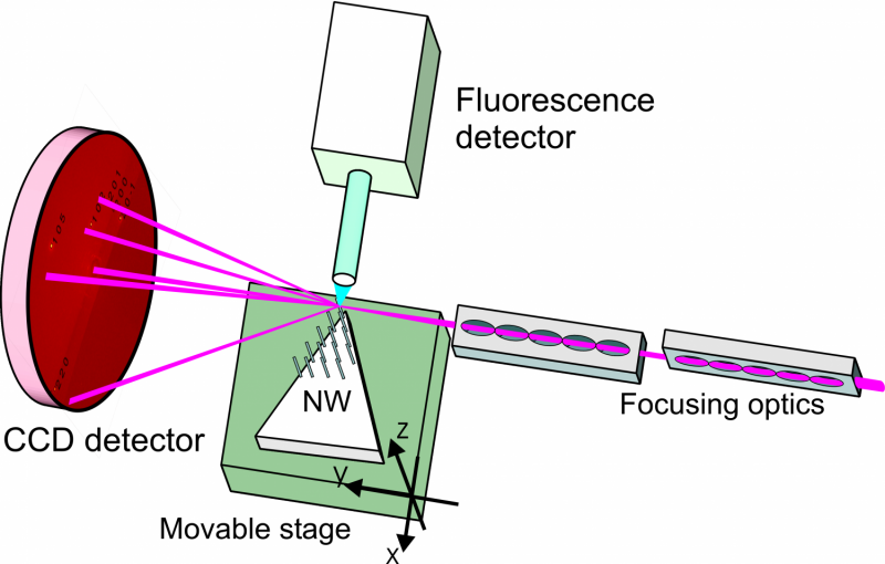 Nanowires: The Next-Gen LEDs Poised to Revolutionize Lighting