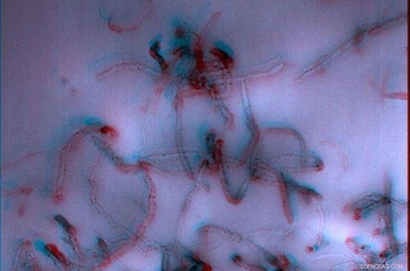 NIST Launches Comprehensive How‑To Site for Nano‑EHS Research and Testing Protocols