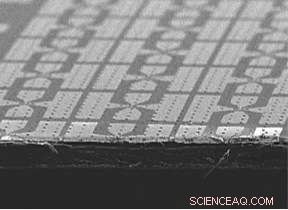 Scientists Pioneer Biodegradable Silicon Transistor Using Wood‑Derived Material