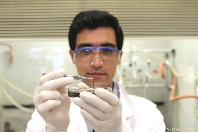 Tiny Wires Offer Major Energy Boost