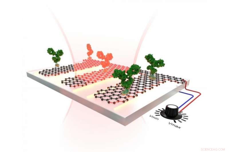 Advanced Graphene Sensor: Tunable, Highly Sensitive Nanometric Detection
