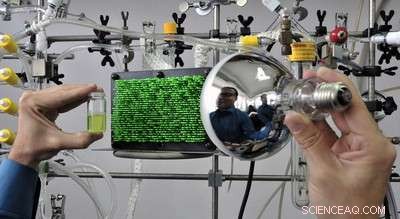 Graphene-Embedded Nanorods Harvest Solar Energy Efficiently