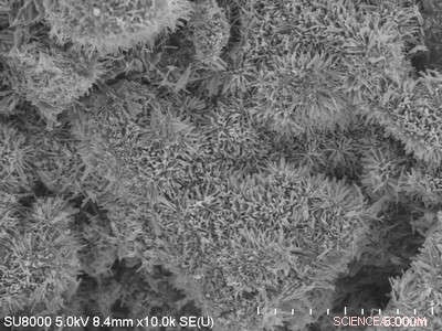 Graphene-Embedded Nanorods Harvest Solar Energy Efficiently