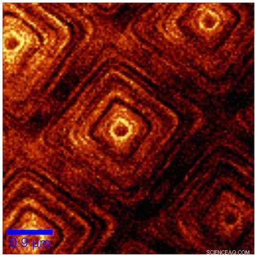 Revolutionary System Reshapes Biomolecular Delivery Techniques