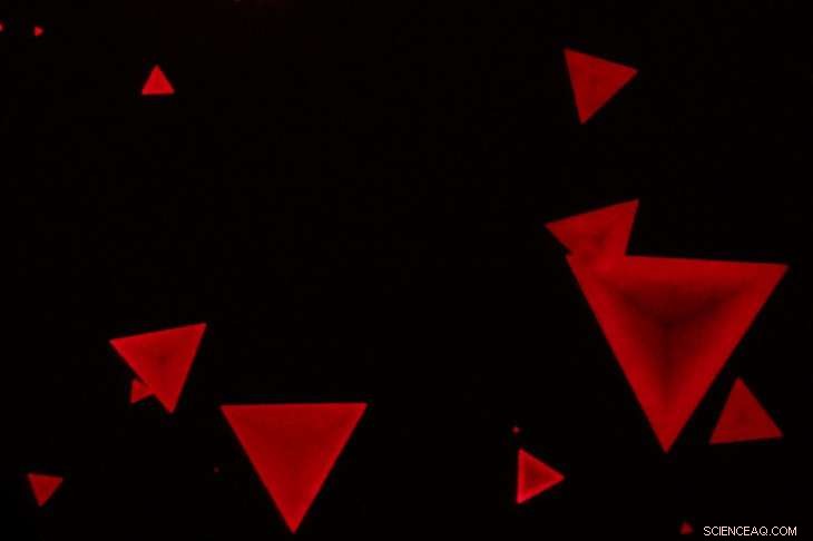 Pioneering 2D Materials Researchers Explore New Horizons Beyond Graphene