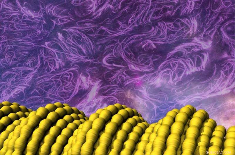 Ultra-Elastic Conductive Fibers Developed Through Carbon Nanotube Nanotechnology