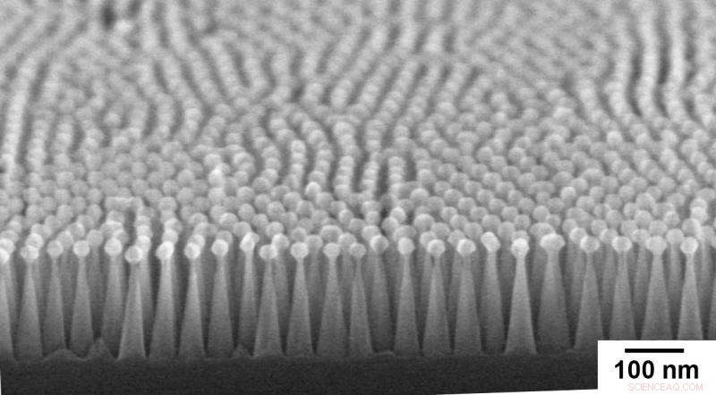 Moth‑Eye Inspired Nanostructures Significantly Boost Silicon Solar Cell Efficiency