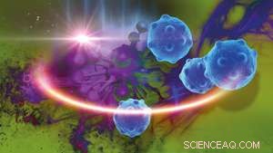 Innovative Probe Combines Photoacoustic and Raman Imaging for Advanced Tumor Detection