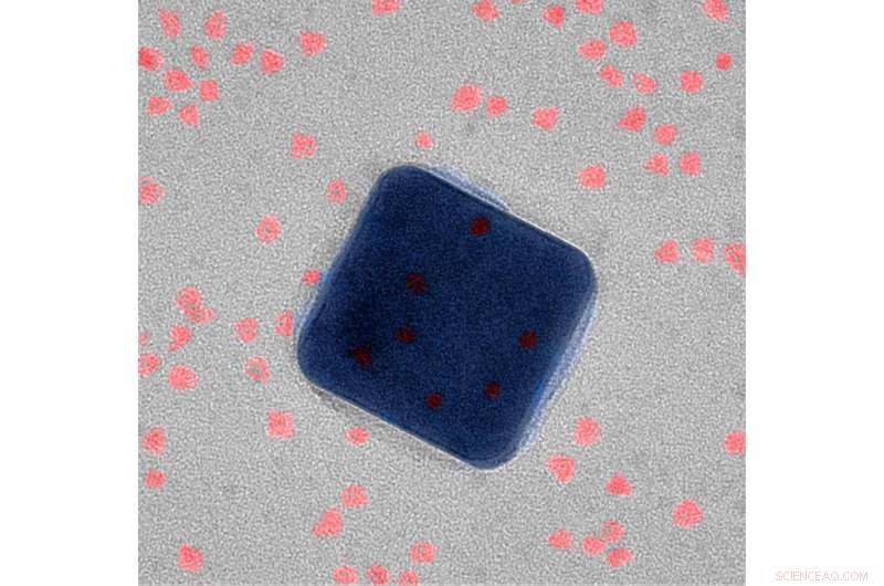 New Superfast Fluorescence Technology Breaks Speed Records