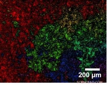 Transparent, Electrically Conductive Silver Nanowire Networks for Solar Cell Electrodes