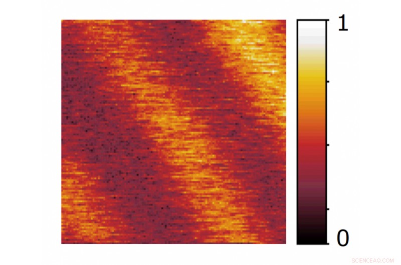 Versatile Optical Technique for Imaging Physical, Chemical, and Biological Nanoscale Processes