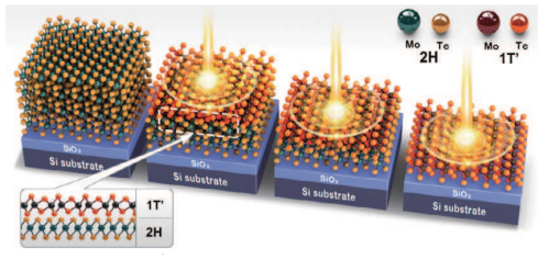 Revolutionary Laser Method Turns Dual-Phase TMD Crystals into 2D Transistors