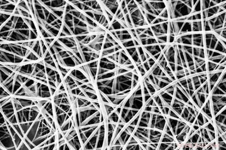 Nanomembrane Sheets: Enhancing Health and Protecting Ecosystems