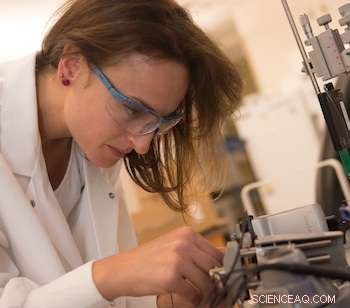 Carbon Nanotube Fibers Show Promise for Restoring Heart Electrical Health