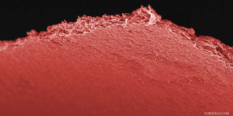 Drexel University Engineers Create Layered Atomic Materials for Next‑Generation Energy Storage