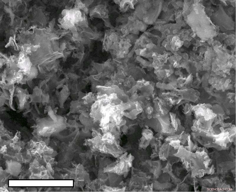 Rice University Discovers Platinum‑Free Catalyst, Paving Way for Safer, Cost‑Effective Fuel Cells