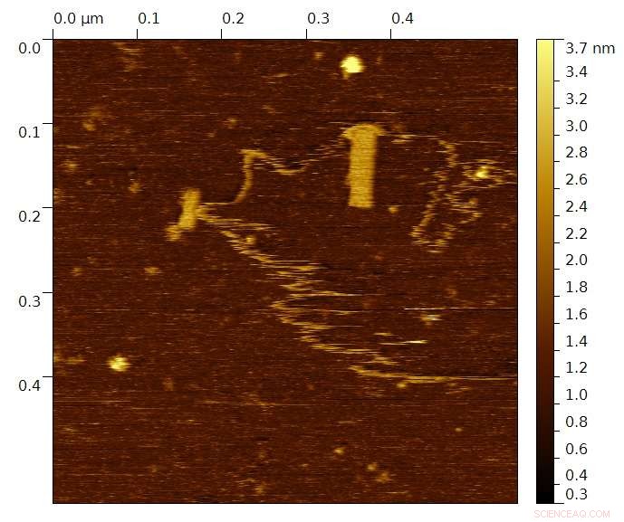 Decoding DNA Origami: Unveiling the Secrets of Nanostructure Assembly
