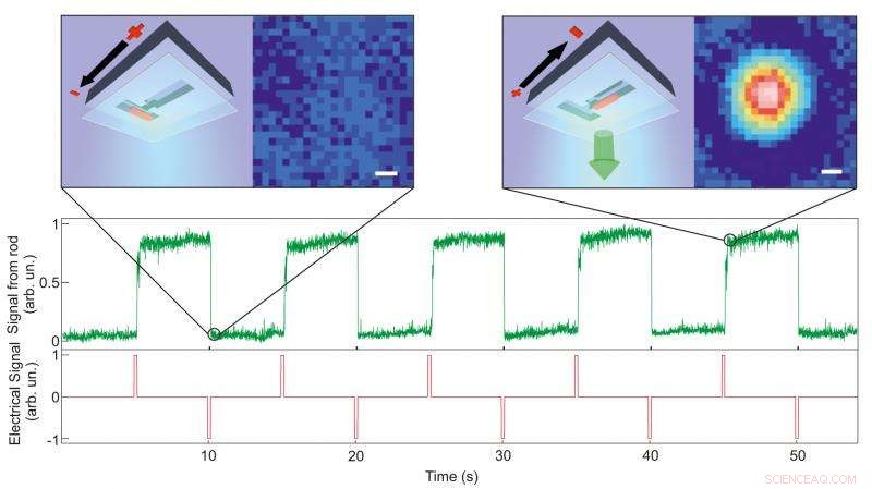 Precise Nanoparticle Control for Next-Gen Digital Applications