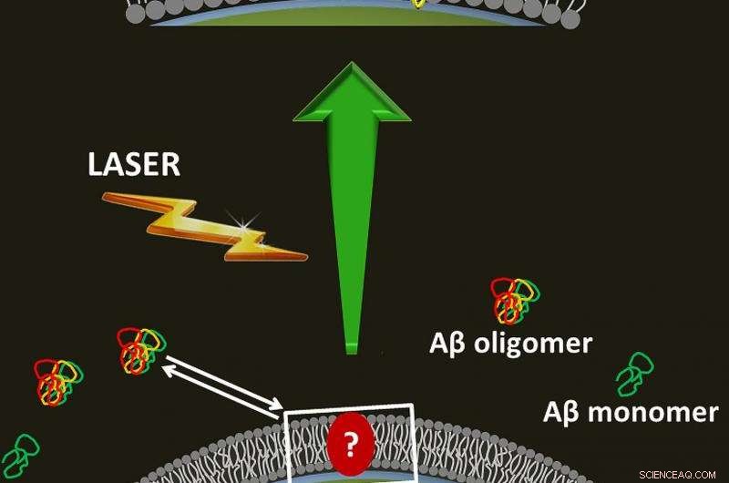 Silver Nanoparticles Illuminate Hidden Structures of Alzheimer’s Amyloid Plaques