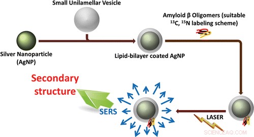 Silver Nanoparticles Illuminate Hidden Structures of Alzheimer’s Amyloid Plaques