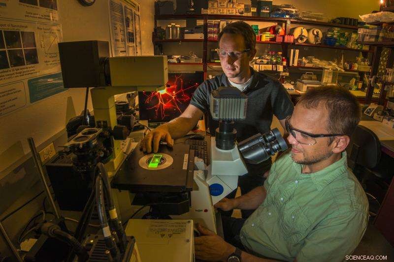 Sandia Labs Engineers Nerve-Like Polymer Networks with Biological Tools
