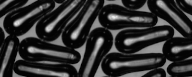 Carnegie Mellon Professor Secures NSF Grant to Study Capsule Elasticity