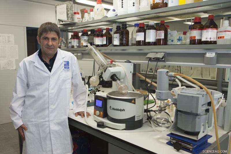 Innovative Graphene Catalysts Revolutionize Energy Conversion and Storage