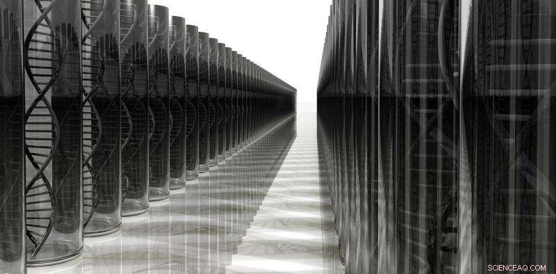 DNA‑Based Organic Computers: Processing Data Inside the Human Body